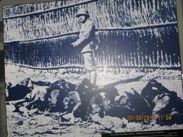 ������С IMG_8730.JPG