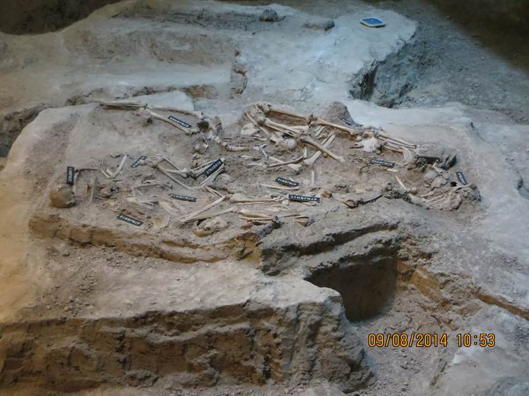 ������С IMG_8725.JPG