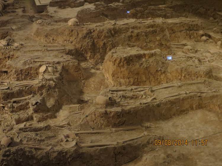 ������С IMG_8757.JPG