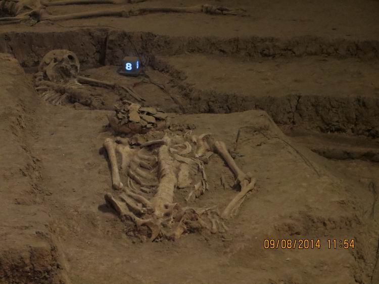 ������С IMG_8751.JPG