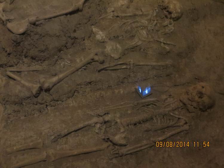 ������С IMG_8753.JPG