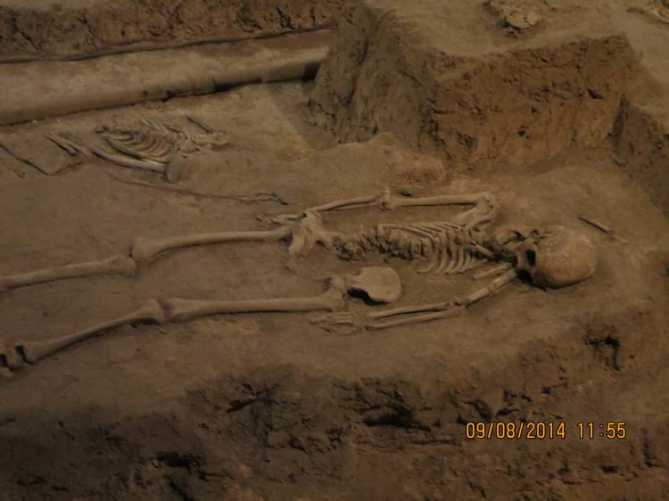 ������С IMG_8754.JPG