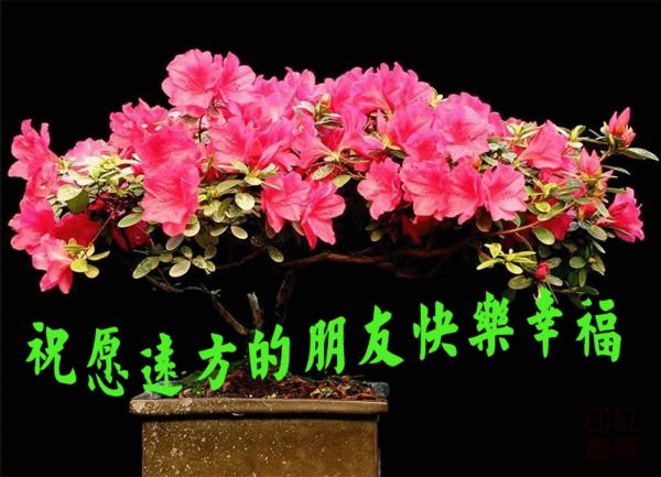 ףԶ�������ѿ����Ҹ� (36).jpg