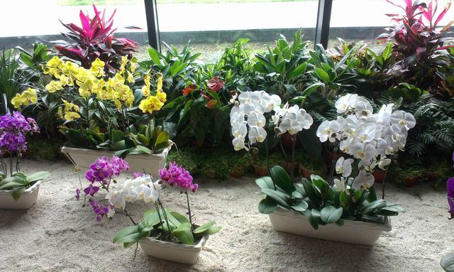 ������С IMAG6000.jpg