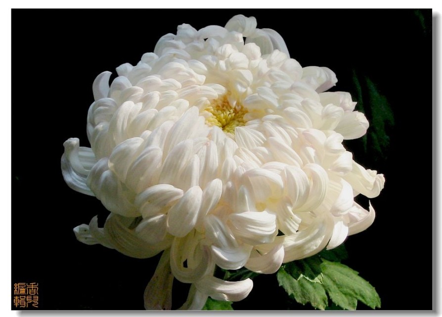 06. ��̨���.jpg