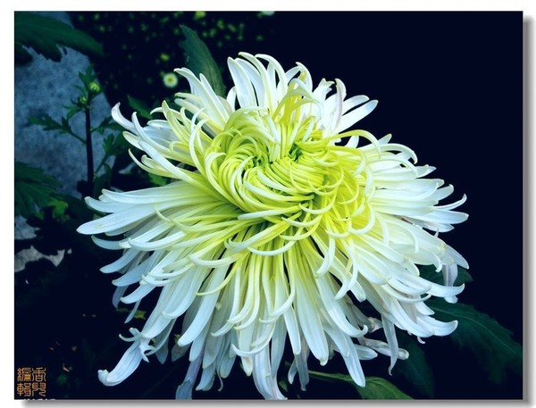 05. ����.jpg