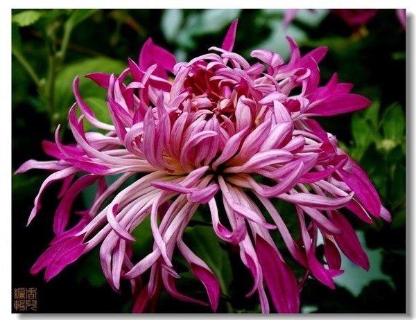 10. ��ɽ����.jpg