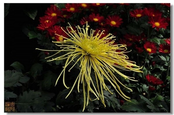 11. ����֥.jpg