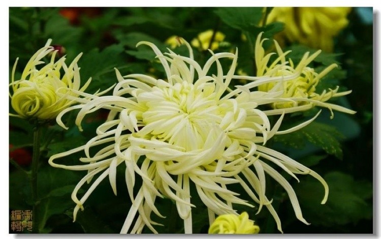 12. �����.jpg