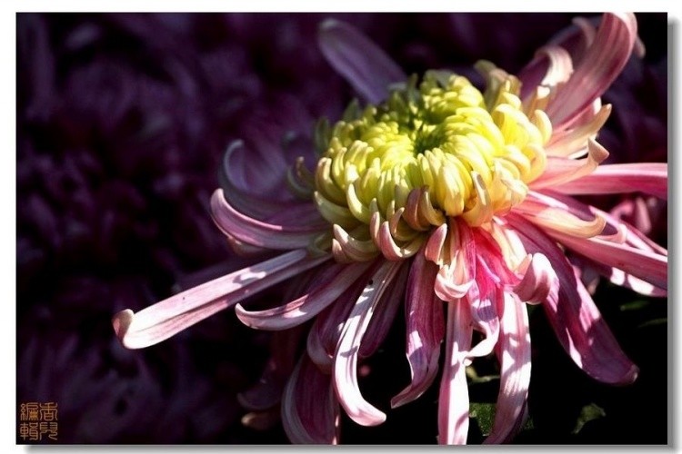 14. ��ˮ����.jpg