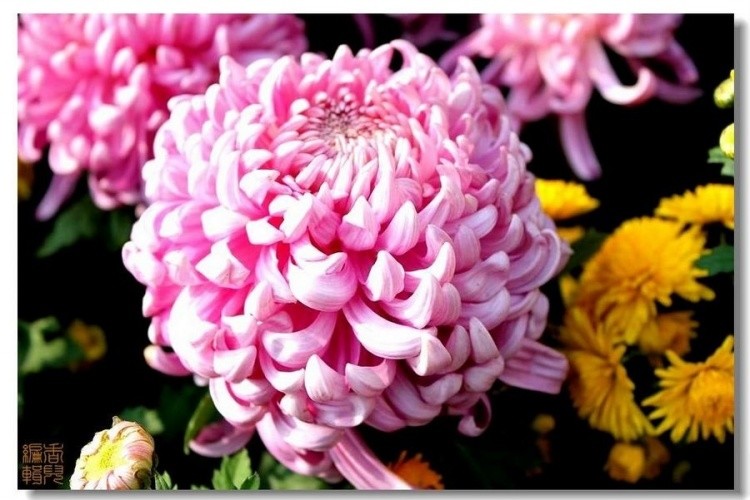 13. ��ˮ�ɻ�.jpg