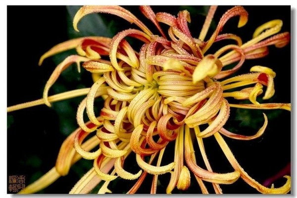 16. �����.jpg