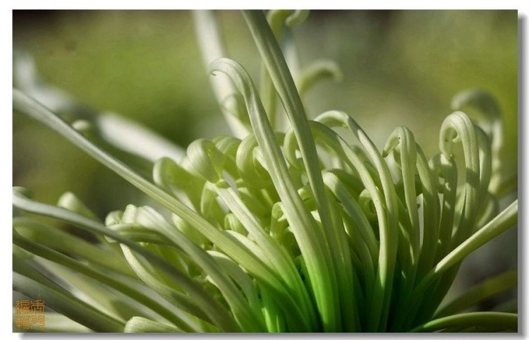 15. ���ǧ��.jpg