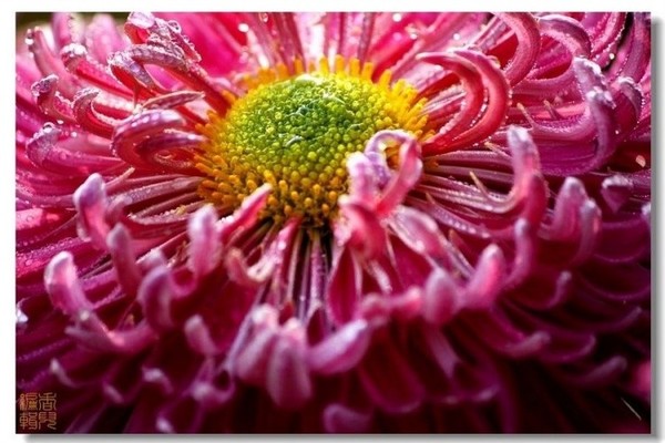 19. ������.jpg