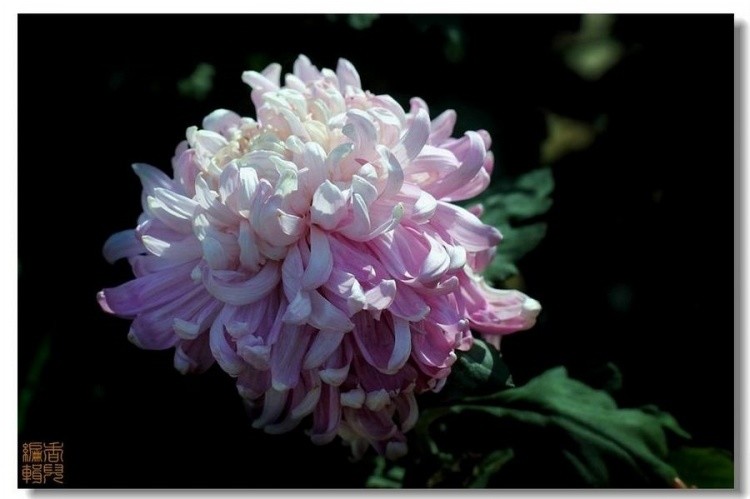 21. ����.jpg