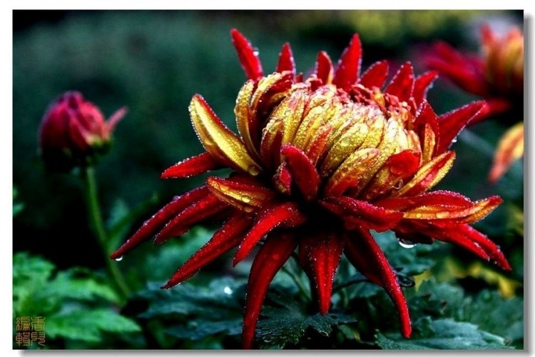 24. �𱳴��.jpg