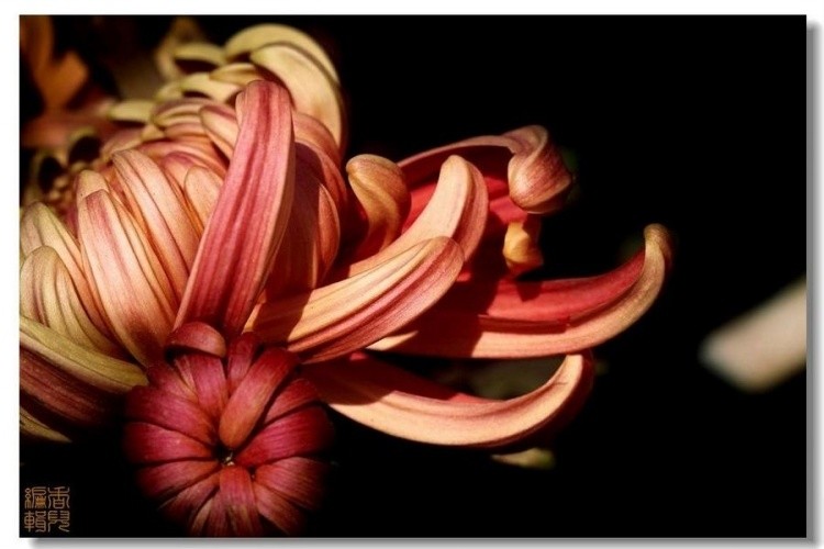 23. ��콻��.jpg