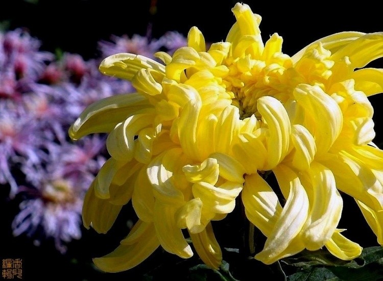 26. ������.jpg