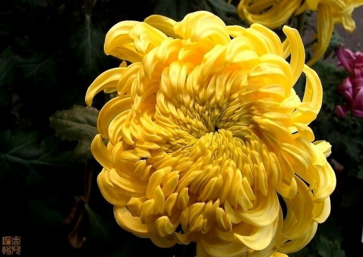 25. �������.jpg