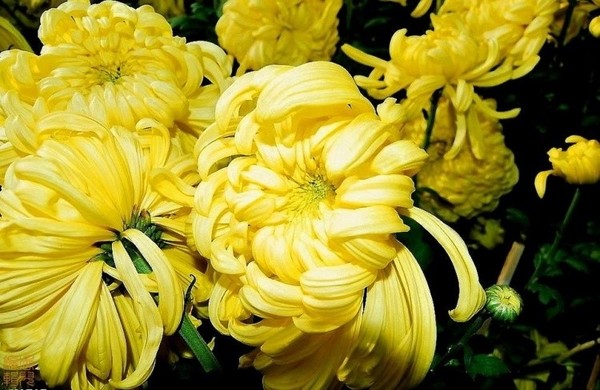 28. �ư���.jpg