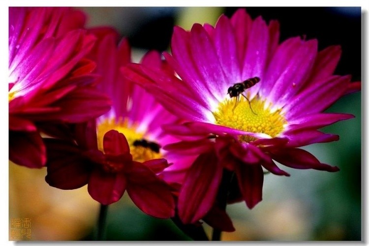 30. ����ɽׯ.jpg