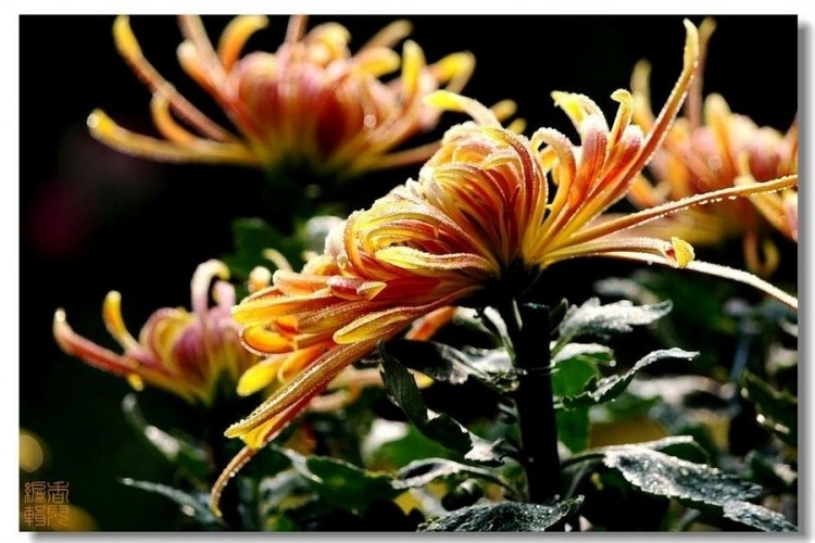 29. ��������.jpg