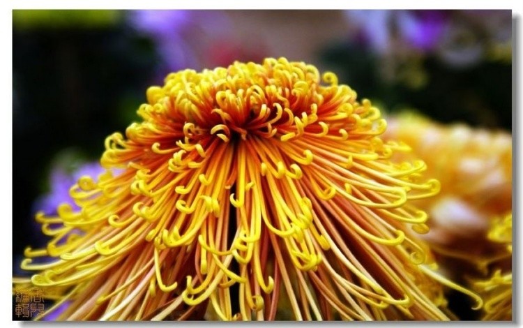 32. ������.jpg