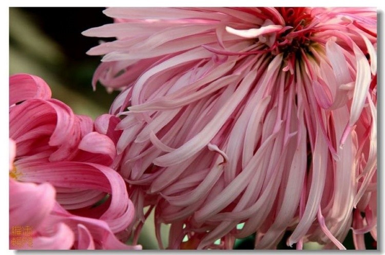 35. ��ë��.jpg