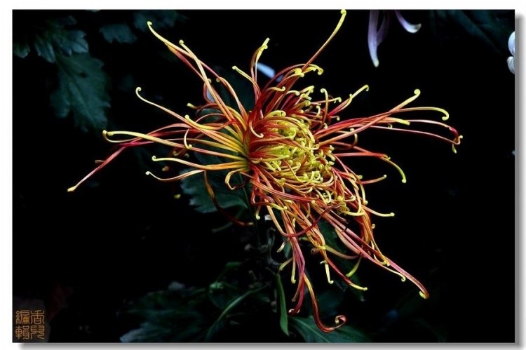 38. ��������.jpg