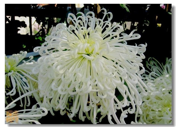 44. ��������.jpg