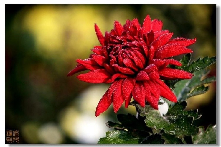 43. ������.jpg