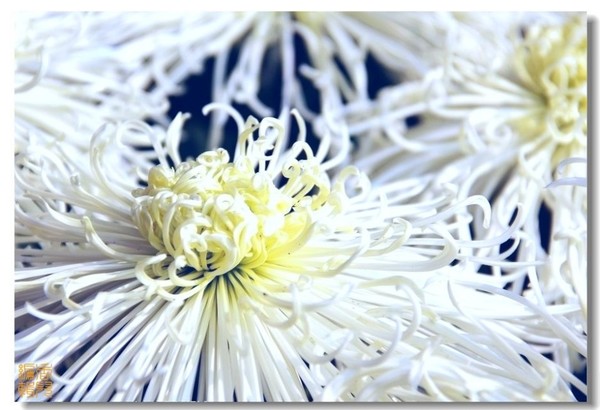 46. ��������.jpg