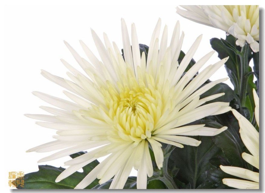 45. ������.jpg