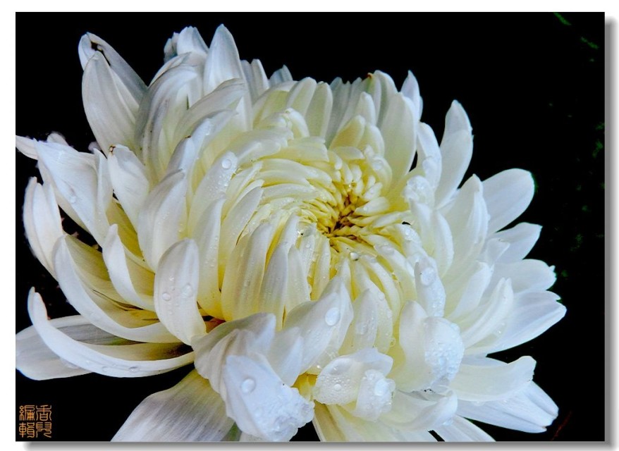 47. ��ĵ��.jpg