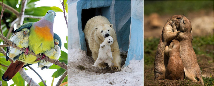 3ed76ca603ae2ac (1).jpg