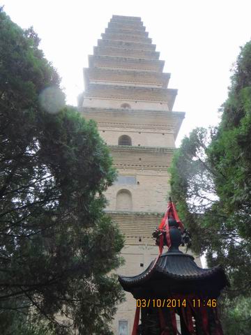 ������С ��ת IMG_8884.JPG