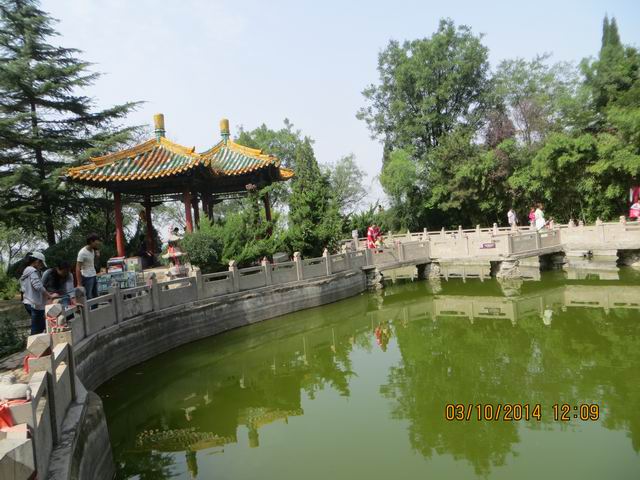 ������С IMG_8889.JPG