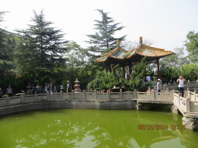 ������С IMG_8897.JPG