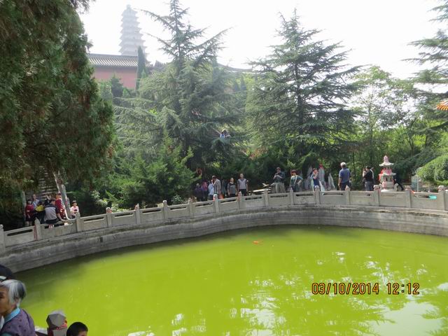 ������С IMG_8898.JPG