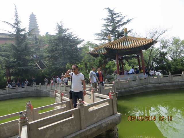 ������С IMG_8896.JPG