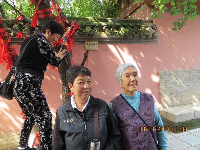 ������С IMG_8866.JPG