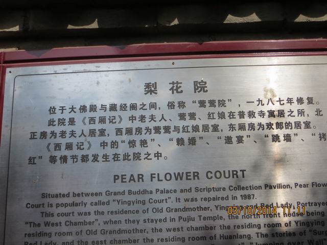 ������С IMG_8869.JPG