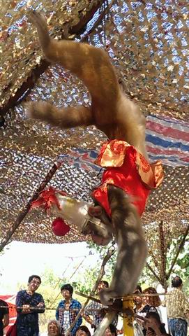 ������С IMAG3290.jpg