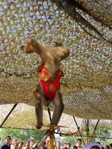 ������С ��ת IMG_8913.JPG