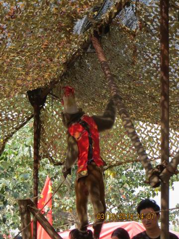 ������С ��ת IMG_8915.JPG