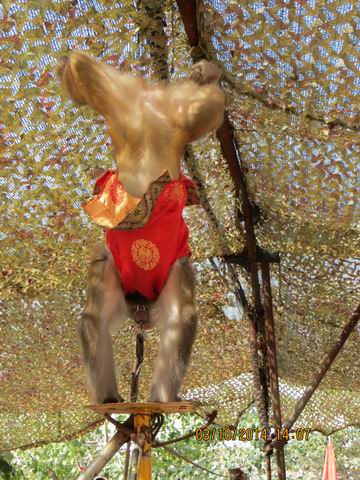 ������С ��ת IMG_8914.JPG