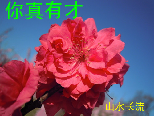 �һ� �����в�.jpg