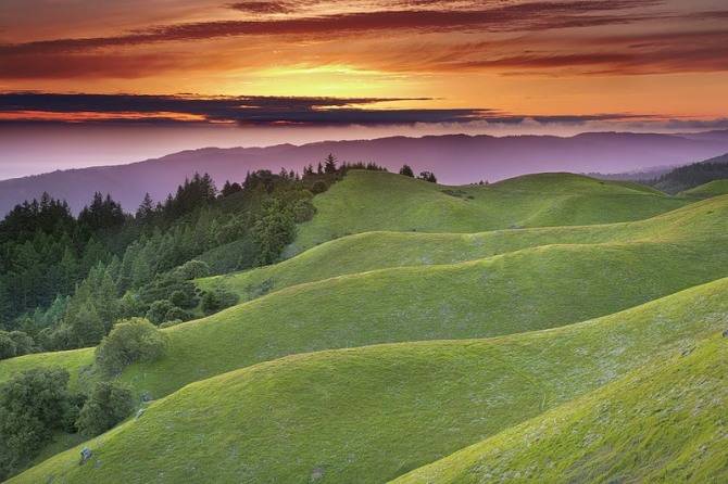 psu (2).jpg.thumb.jpg