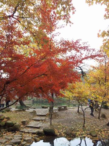 ������С ��19.jpg