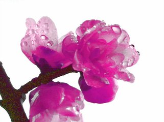 t018a4336702dae7730 (1).jpg